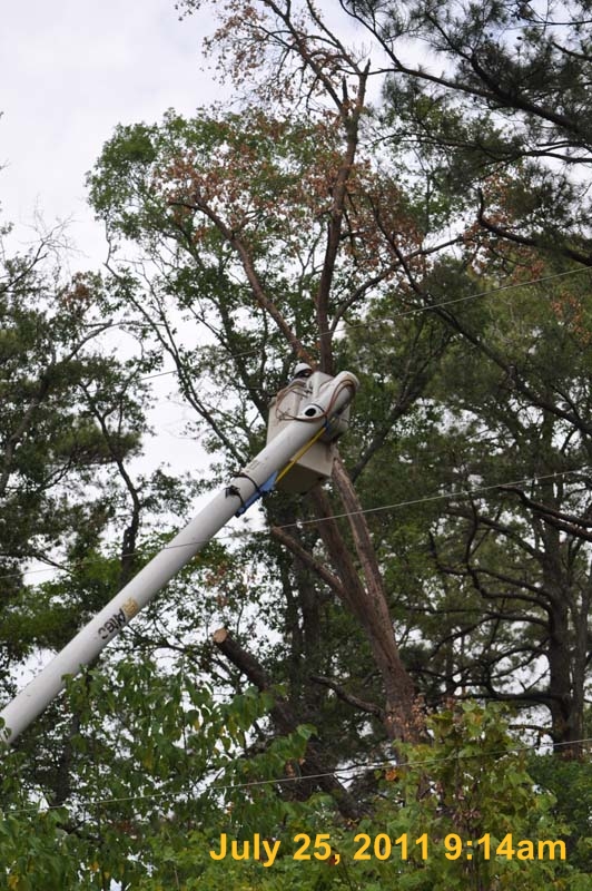 Entergy 049